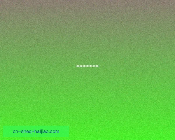 海角社区网址：连接世界，点亮生活